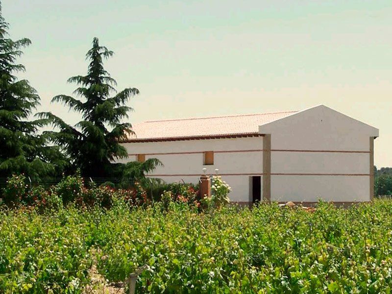 Vinos de Toro en Bodegas Gil Luna